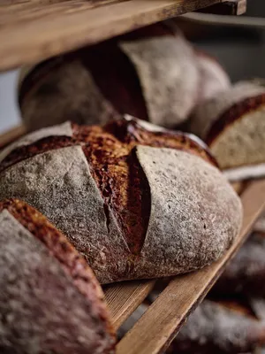 Софтгрейн Пророщене Жито