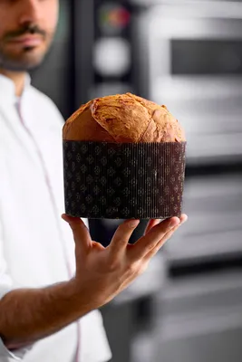 Теграл Панетон CR