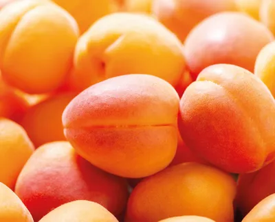 Ароматична паста Класік Абрикос CL