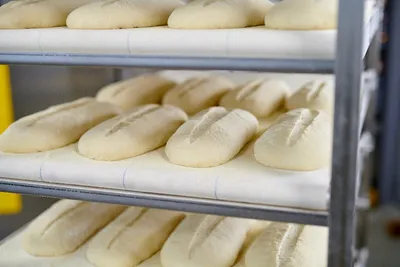 Тігріс Грін